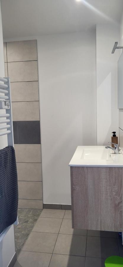 זונרופט-לונז'מר Magnifique Appartement Le Marronnier מראה חיצוני תמונה